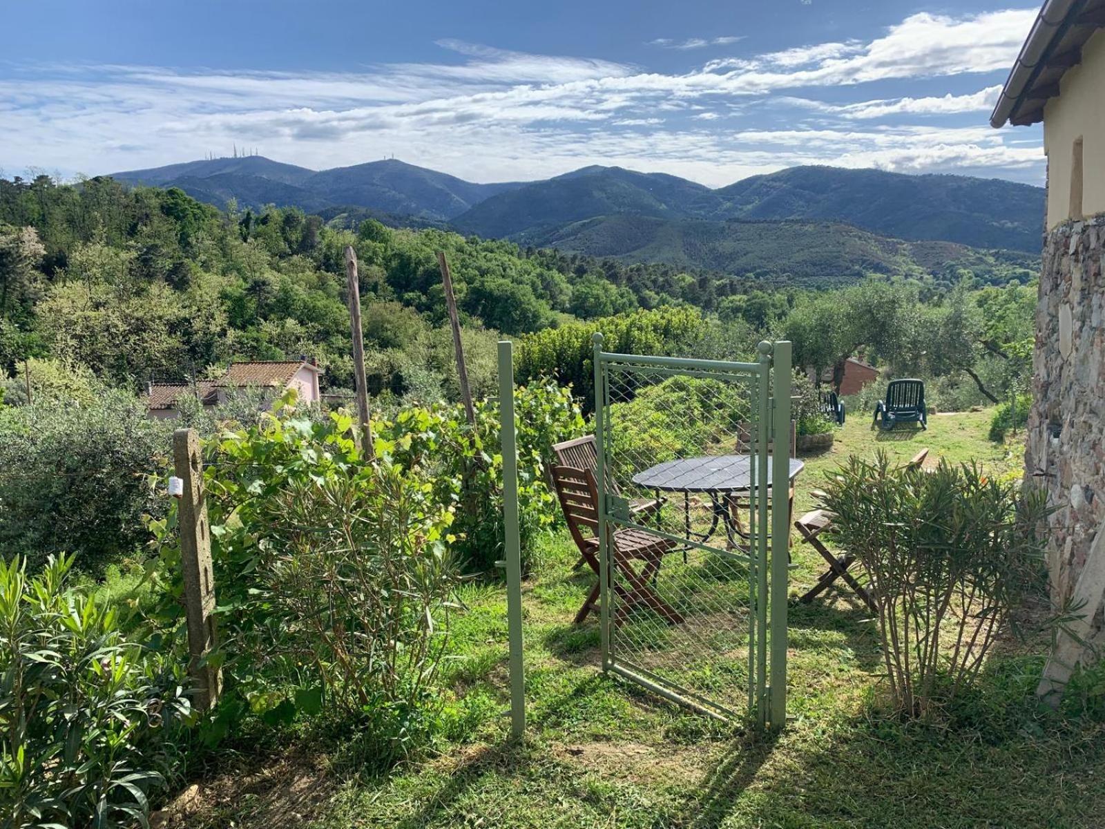 La Capanna Di Arturo Piano Terra Villa Capannori Ngoại thất bức ảnh